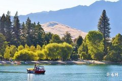 Can you get married in your zodiac year? Why is 2026 called the 'widow year'?