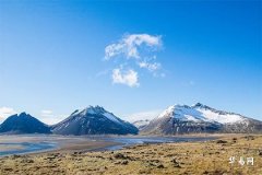 The Three Most Fortunate Zodiac Signs for Platinum: Rooster, Dog, Dragon