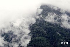 Academic Fortune of Dragon People in 2026, a Challenge Awaited for Those Born in the Year of the Dragon