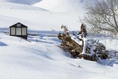 Analysis of the Fate of Men with Moles on the Sole