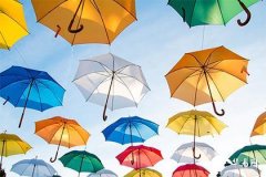 Does the character 'Jia' belong to Wood or Earth in the Five Elements? Which has a better meaning, 'Jia' or 'Jia' (homophone with different character)?