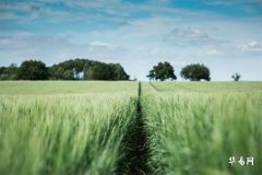 Does a mole on the left foot of a woman bring good fortune to her husband? Folk beliefs about moles on women's feet