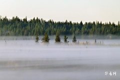 How Old Are People Born in the Year of the Pig in 2026, and Their Full-Year Fortune in 2026