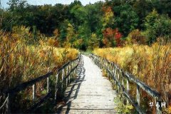 What Does It Mean for a Man to Have a Long Body and Short Legs