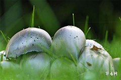 What is the Fate of Women with Flat Feet