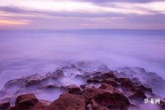 Detailed 2026 Fortune Analysis for People Born in the Year of the Snake: Full Annual Forecast, Early or Late Marriage for Those Born in 2001