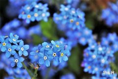 Four Best Birth Hours for Boys Born in the Year of the Dragon, and Three Most Challenging Hours