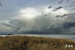 How to Use Five Emperor Coins for Warding Off Evil: A Practical Guide to Feng Shui Treasures