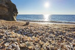 Wealth and Love Fortune of Women with a Mole on the Right Side of the Bridge of the Nose