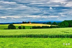 Is it good for people born in the Year of the Monkey to have their bed head facing southwest? Feng Shui analysis and zodiac bed placement guide