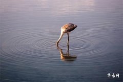 Boy Names with Five Elements Missing Fire and Favoring Wood, 100-Point Wood-Fire Combination Names