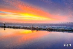 85 Ox Sea in Metal WeChat Avatar 85 Ox Suitable for Raising What Plants