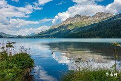 Characters with Strongest Wood Element in Five Elements, Lucky Wood-Incorporating Names for Girls