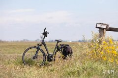 Which Floor Should People Born in the Year of the Snake Live on to Enhance Luck and Wealth: Five Feng Shui Secrets to Boost Fortune