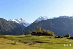 Correct Position Diagram of 'Jiao Ta Yi Xing'