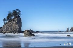 Lucky Colors for Monkey in 2026, Three People Monkey Cannot Overcome