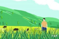 Best Floor Selection Guide for Snake Zodiac Sign Home Buyers