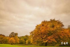 How Will the Monthly Fortunes of the Dragon Born in 1988 Be in 2026? Detailed Analysis of Wealth-Age for Those Born in 1988