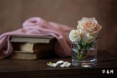 Are there many celebrities with the surname Nie? Who are they?