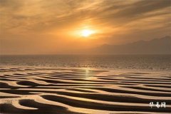 Is it good for people born in the Year of the Snake to live on the 8th floor