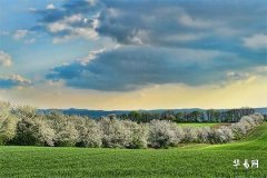 What Should Horse People Place by Their Bedside to Attract Romantic Luck? Feng Shui Items to Help You Achieve It