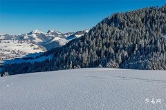 What Are the Five Elements Fire Characters, Complete Elegant Name Collection for Girls Belonging to Fire