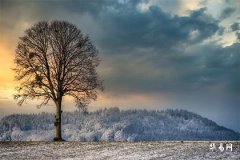 Position and Fortune Diagram of Moles on Boys' Faces