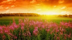 Was there a leap month in 1995? Which month was it?