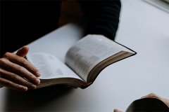 Correspondence Table of the Twelve Earthly Branches and the Twelve Chinese Zodiac Animals