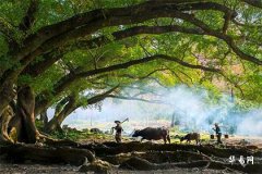 Analysis of Personality, Marriage, and Career for Women with Metal-Water Injurious Officer Fate Born in Summer