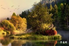 Incompatible Zodiac Signs Between Mother-in-law and Daughter-in-law_ Chinese Zodiac Clash Chart