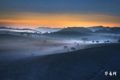 Which is Better for Tiger People: East-Facing or West-Facing Apartment? The Auspicious Principles of Living Floors