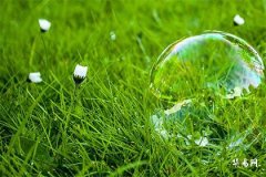 Is the fate of people born on Tomb Sweeping Day good? Born on April 5th, Qingming Festival, is their life strong?