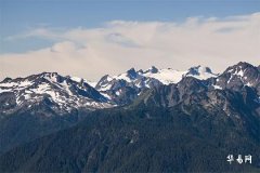 Is a Marriage Between a Woman Horse and a Man Sheep a 'Decapitated Marriage'? Analysis and Advice on Compatibility