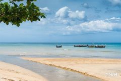 Marriage Compatibility of Male Metal and Female Metal in BaZi: Astrology and Marital Harmony