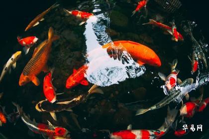 What stones have the best effect of warding off evil