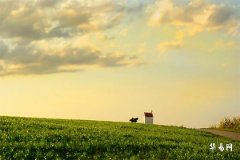 When Offending Tai Sui, Speak Less: How to Alleviate the Troubles of Unfavorable Luck?