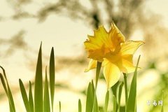 How Is the Stove Positioned Facing North with Back to South? What Are the Considerations for Stove Orientation?