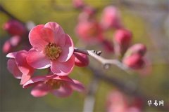 Signs of Two People Being Destined Partners: How Many Years Apart Are Destined Partners Typically?