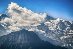 Marriage of Male Sheep and Female Monkey: Revealing the Truth Behind the Rumored 'Cut-Off Marriage'