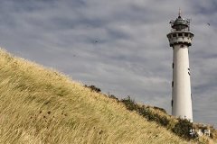 Detailed Analysis of Career, Marriage, and Wealth Prospects for Women with Renyin Month and Dingyou Day Pillar