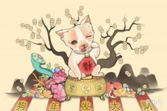 What Colors Should People Born in 1982, the Year of the Dog with Sea Water Destiny, Avoid and What Negative Effects Might Occur