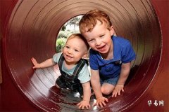 Names for Children Born in the Year of the Tiger at the Snake Hour, Carefully Selected Elegant and Grand Names