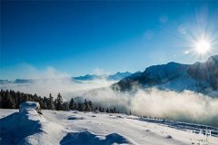 Tarot Card Pope Upright Love Interpretation