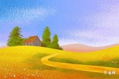 What is the fate of women born in the 12th lunar month under the Year of the Pig, and what are the beliefs about Pig women born in this month