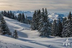 Are the 1990 Earth Life and the 1987 Furnace Fire compatible? Analysis of the fascinating combination of Fire and Earth destinies