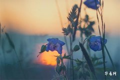 Should the bedding be laid on the same day after setting up the bed? What are the customs for making the bed at the bride's home