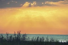 Will those born in the Year of the Tiger in 1974 get divorced after age 50? Who is the destined partner for a second marriage for those born in 1974, the Year of the Tiger?