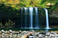 Is the marriage compatibility between the Earth element person born in 1990 and the Wood element person born in 1988 suitable? Analysis of characteristics of Earth and Wood element 