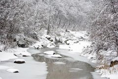 Company's Ming Wealth Position and An Wealth Position: Enhancing Financial Luck and Business Development